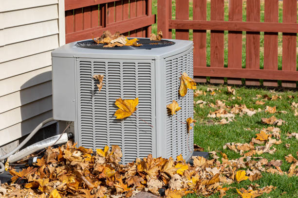 Best Residential HVAC Services  in Long Prairie, MN